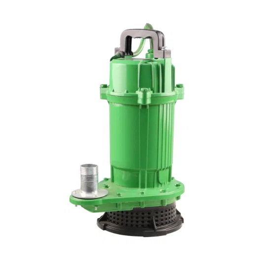 Qdx Series Low Head High Volume 2.2kw 3HP Delivery Cast Iron Borehole Agriculture Lrrigation Electric Submersible Water Pump